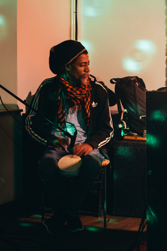 roots_in_the_woods (5)